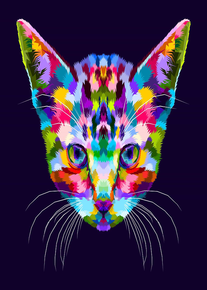 Colorful Cat Portrait