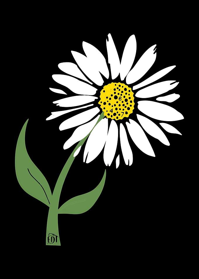 Daisy Flower Illustration with Black Background