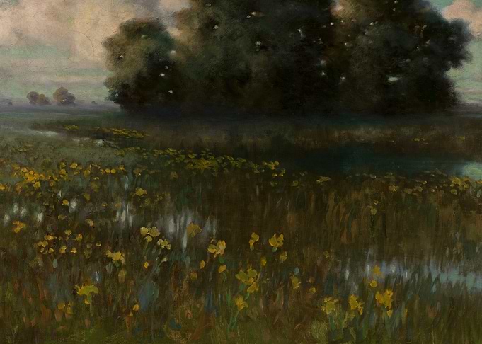 Misty Meadow with Yellow Flowers