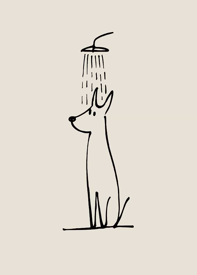 Dog getting a shower funny minimal