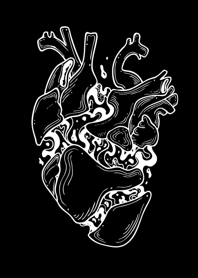 Abstract Anatomical Heart Illustration