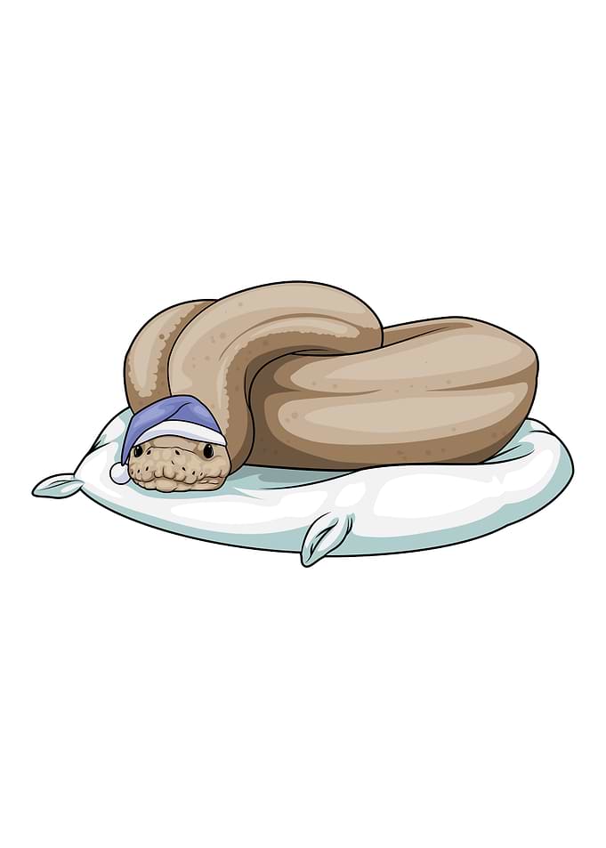 Snake Sleeping Pillow
