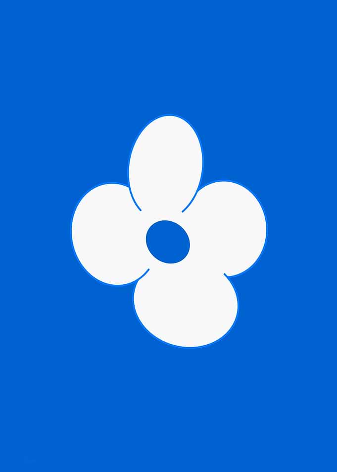 White Flower on Blue Background