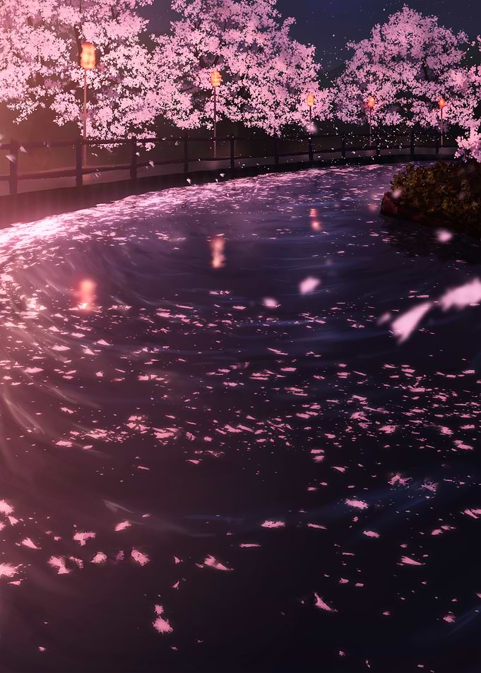 Cherry Blossoms Falling into Water at Night