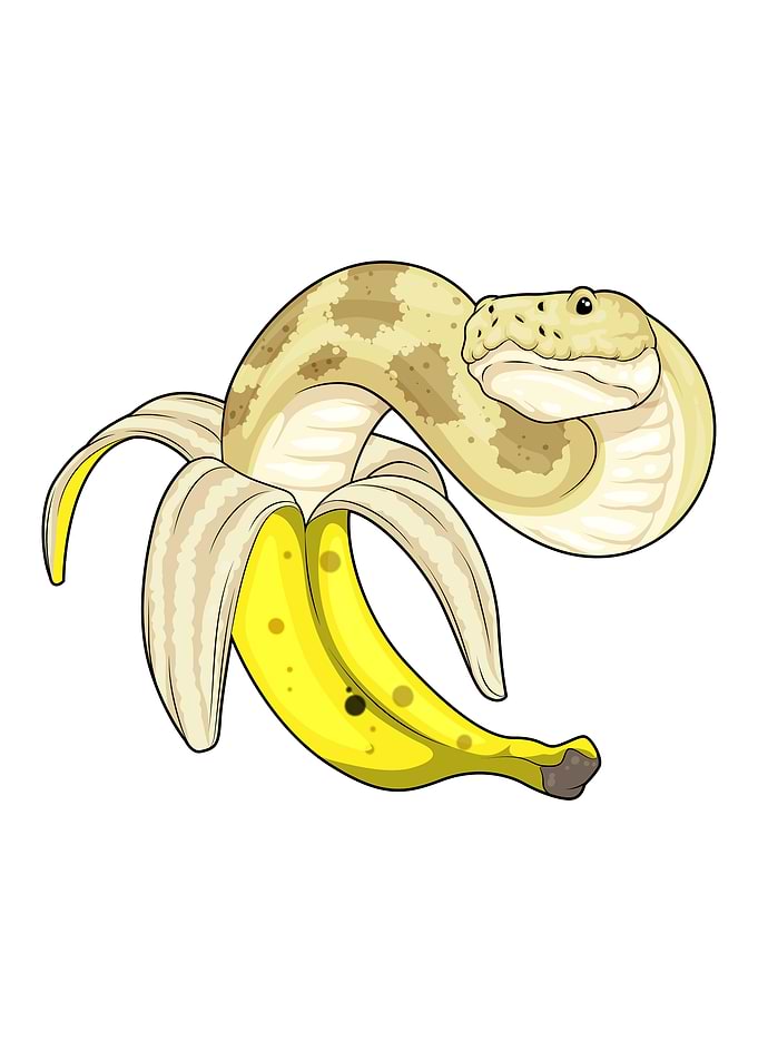 Snake Banana