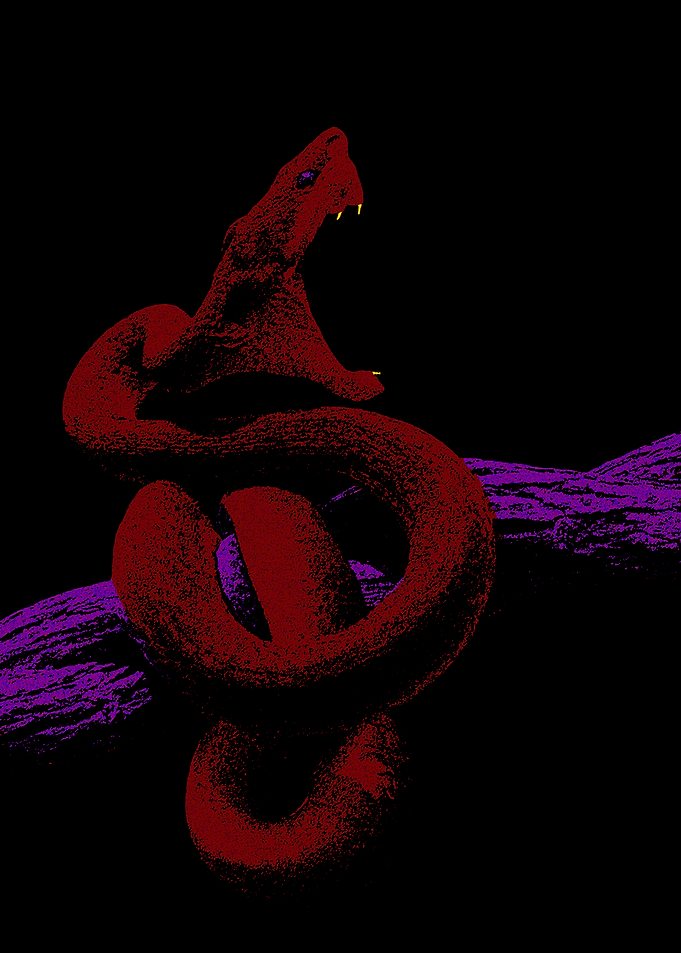 Three Fangs Viper Brutalist