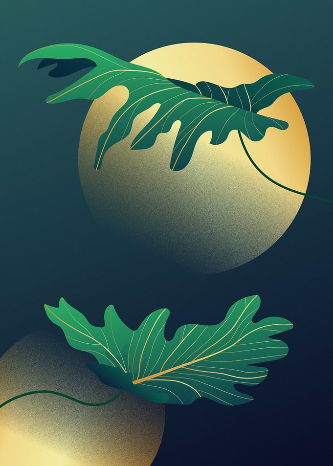 Tropical Leaves