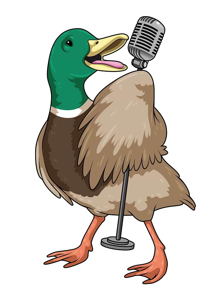 Duck Singing Microphone