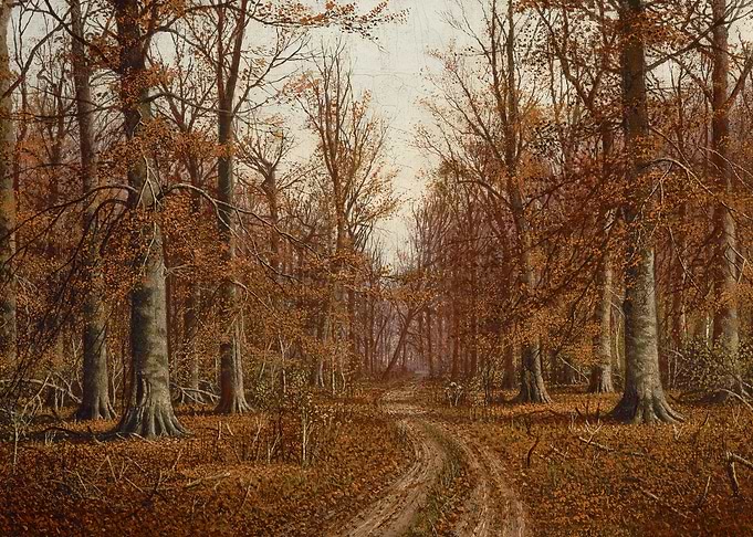 Autumn Forest Path