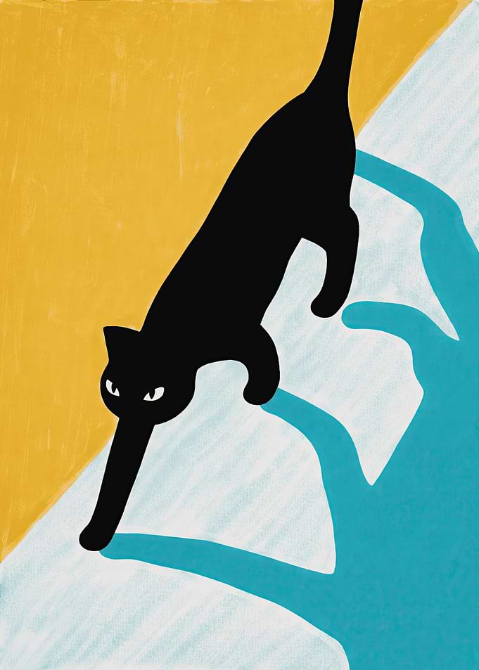 Black Cat on a Colorful Background