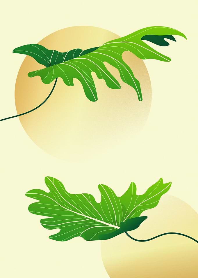 Green Leaves on Minimalist Background