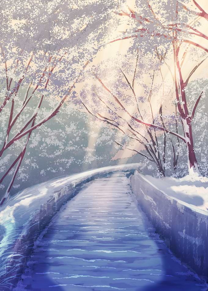 Snowy Path Through Winter Forest
