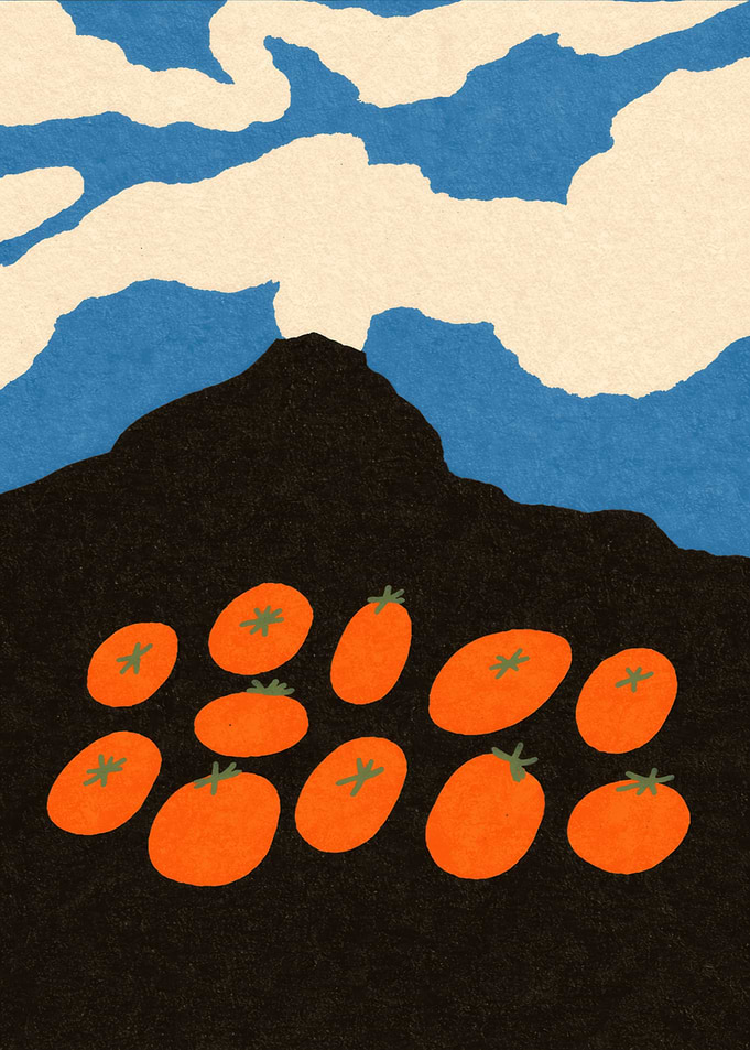 Tomatoes in a Field Under a Mountain