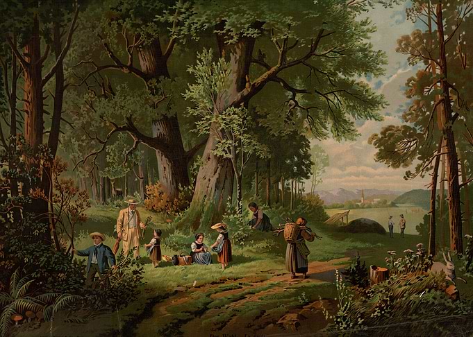 Forest Scene with People and Landscape