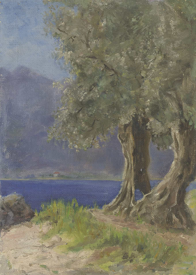 Olive Trees by the Sea