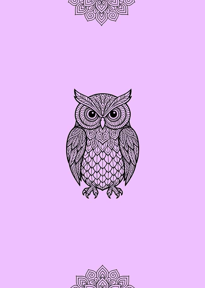 Ornate Owl Illustration