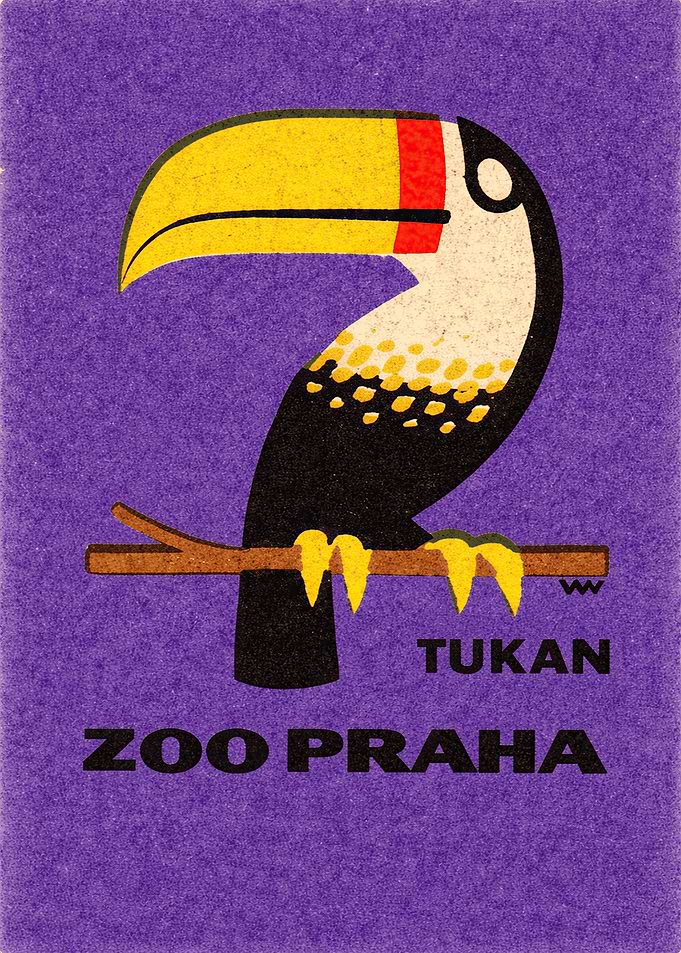 Toucan at Zoo Praha