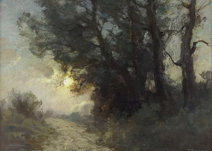 Sunlit Forest Path