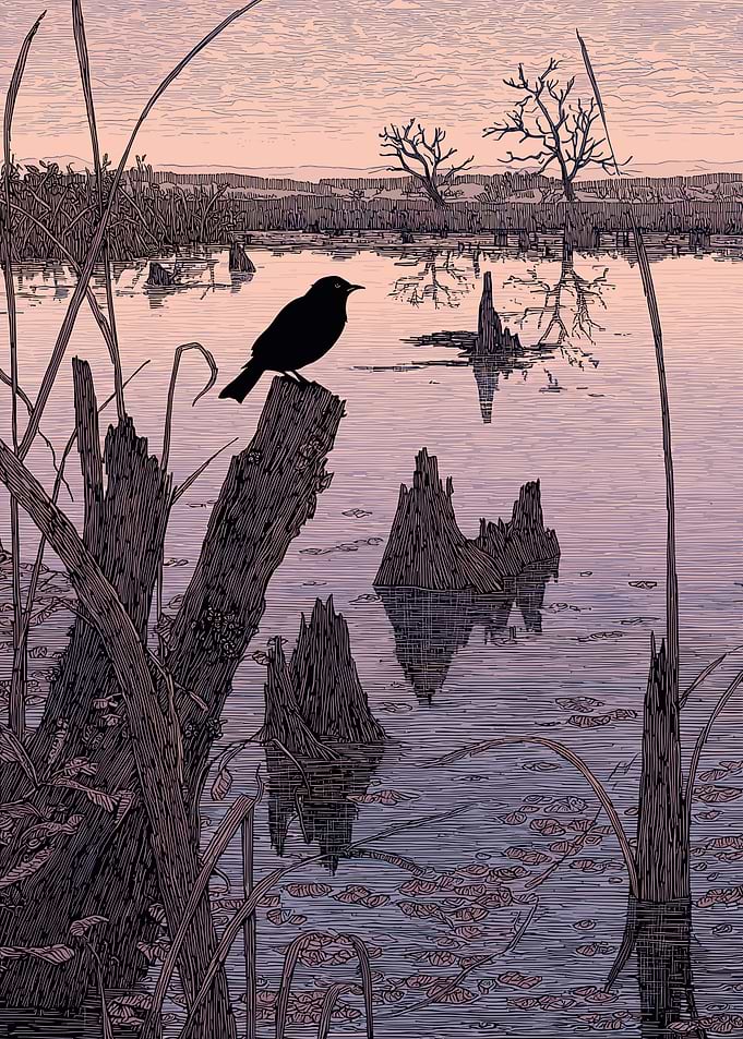 Bird on a stump in a marsh
