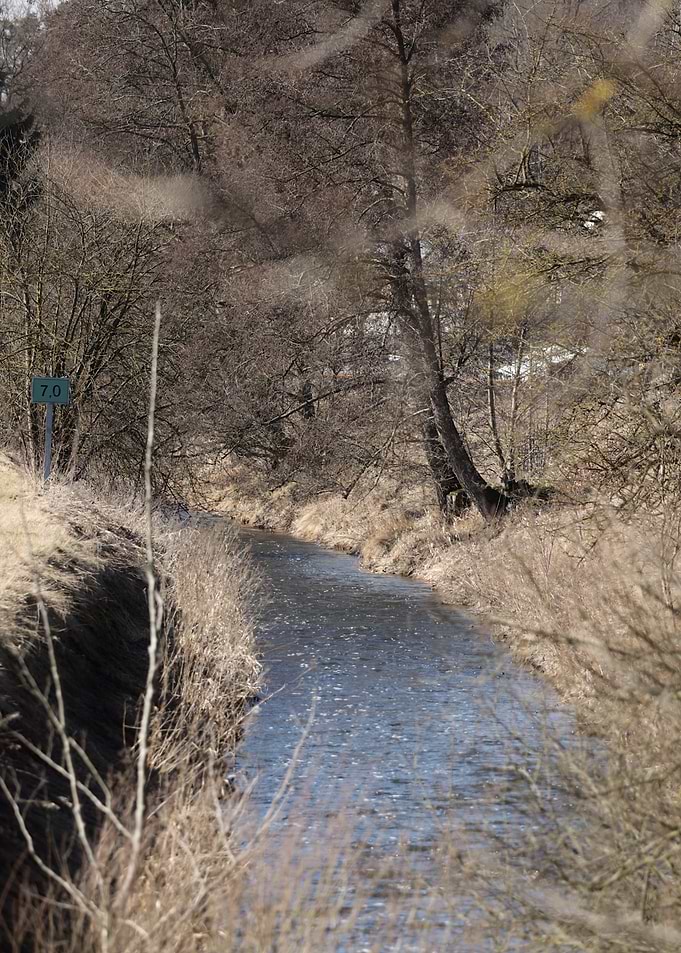 Winter stream with trees and sign