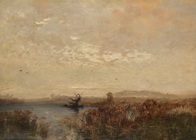 Misty Wetland Landscape with Birds