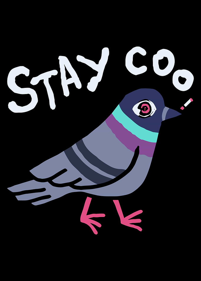 Stay Coo Pigeon Poster, Funny Cool Bird Wall Art, Edgy Cartoon Pigeon Illustration