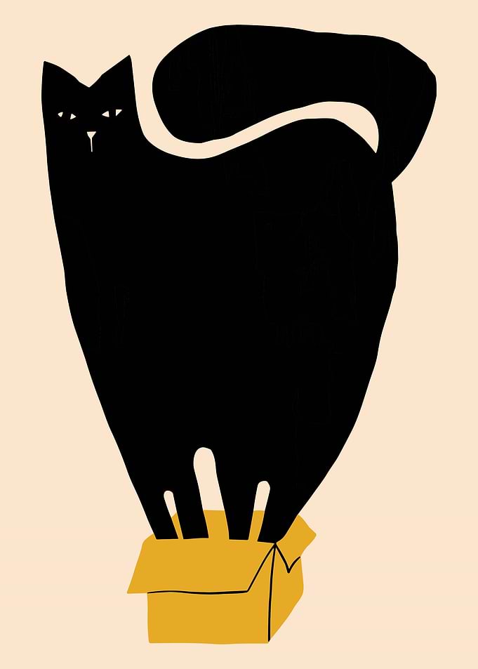 Black Cat in Box Poster, Minimalist Cat Illustration Art, Cute Modern Pet Wall Print