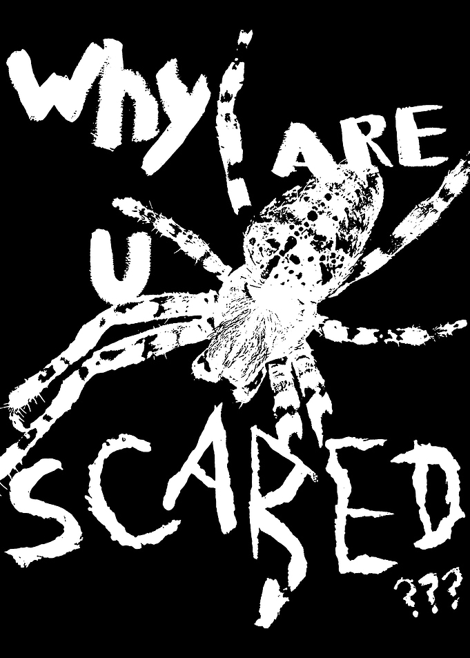 Spider Why Are You Scared Text Art