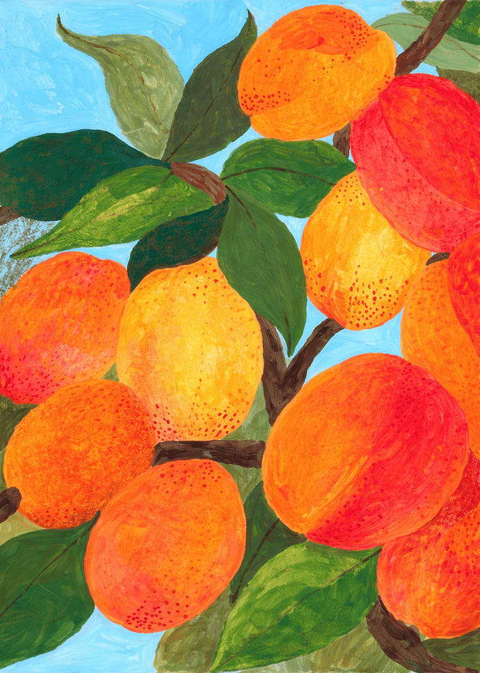 Oranges on a Branch