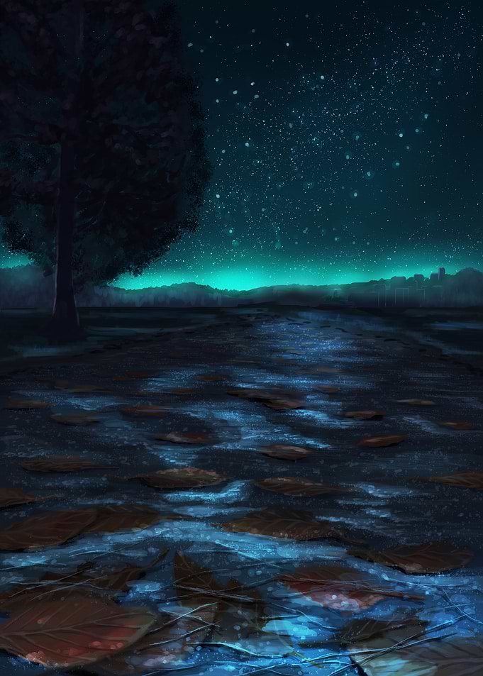 Night Path Under Starry Sky