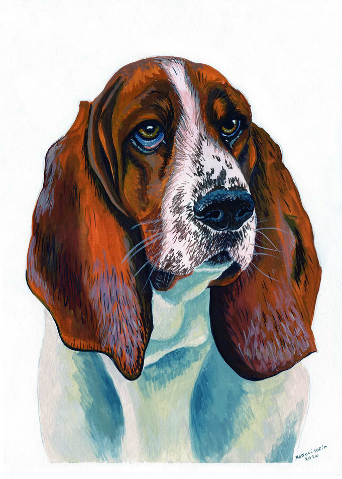 Basset Hound Portrait Painting gouache