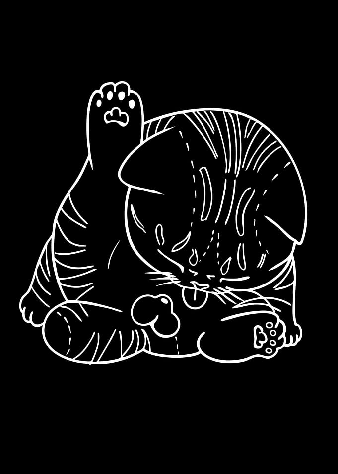 Cute Cat with Toy