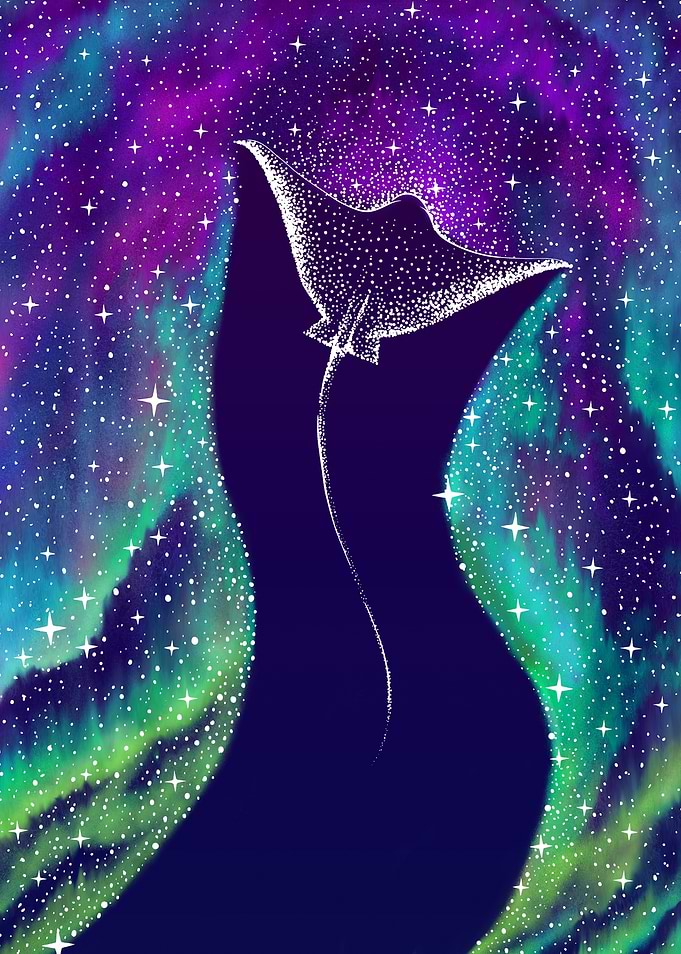 Star Collector in northern lights