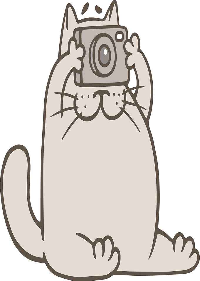 Cute Cat Taking a Selfie