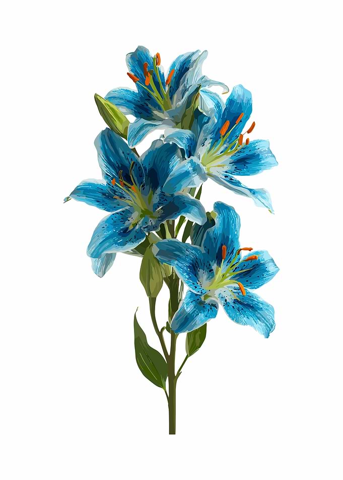 Blue Lily Flower Arrangement