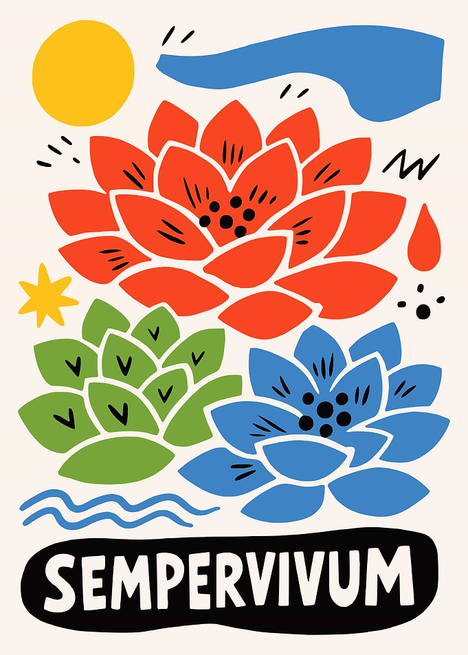 Sempervivum Flower Art Print