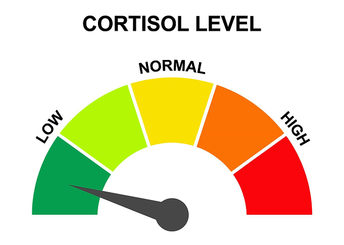 Funny Low Cortisol Level Internet Meme