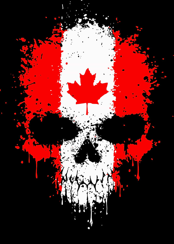 Canadian Flag Skull Grunge Art