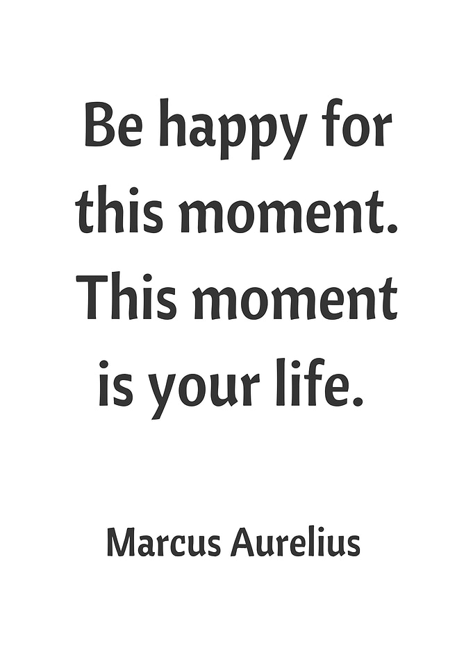 Marcus Aurelius Quote on Life