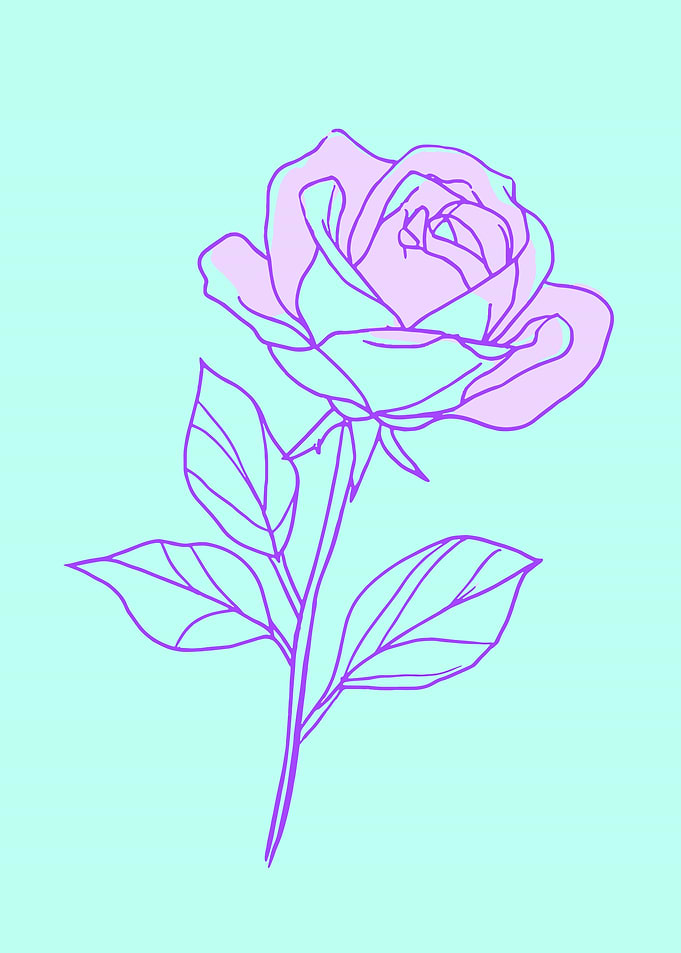 Minimalist Rose Outline