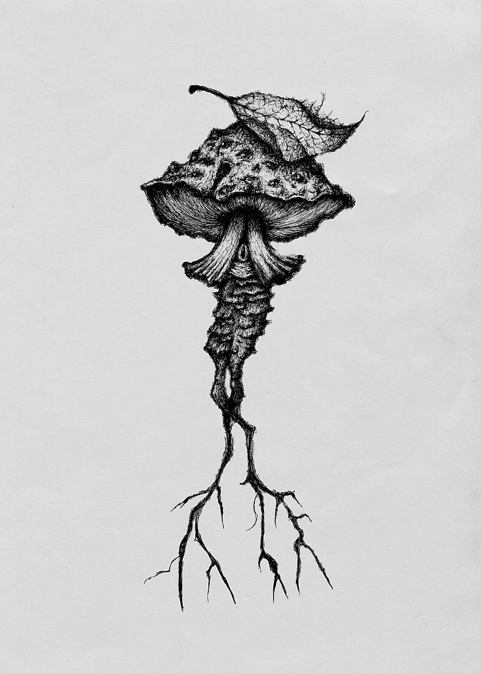 The Root-Veil Morel