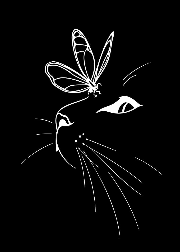 Cat and Butterfly Line Art