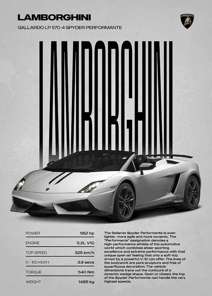 Lamborghini Gallardo LP 570-4 Spyder Performante