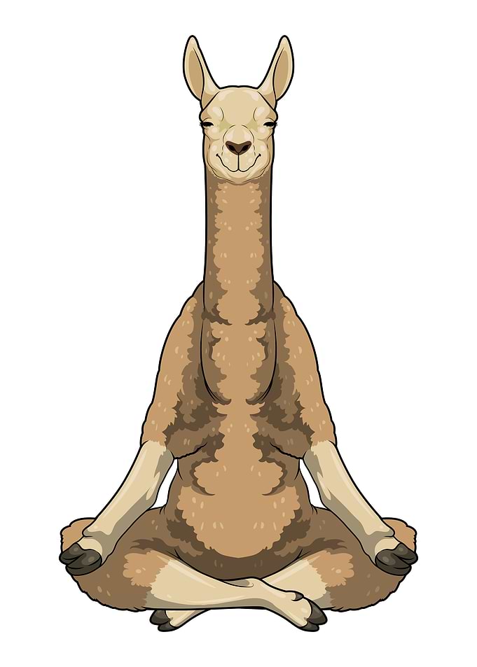 Llama Yoga Fitness