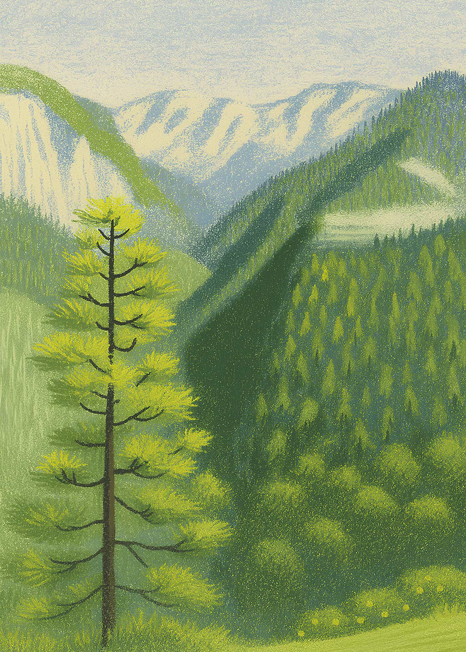 Serene Mountain Landscape with Pine Tree