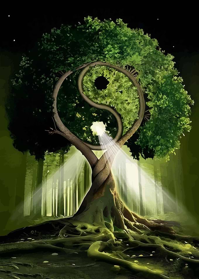 Yin Yang Tree in Forest