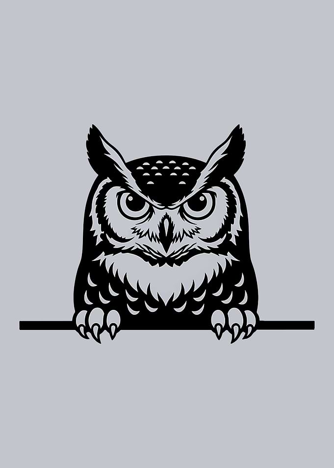 Black Owl Peeking Over a Ledge