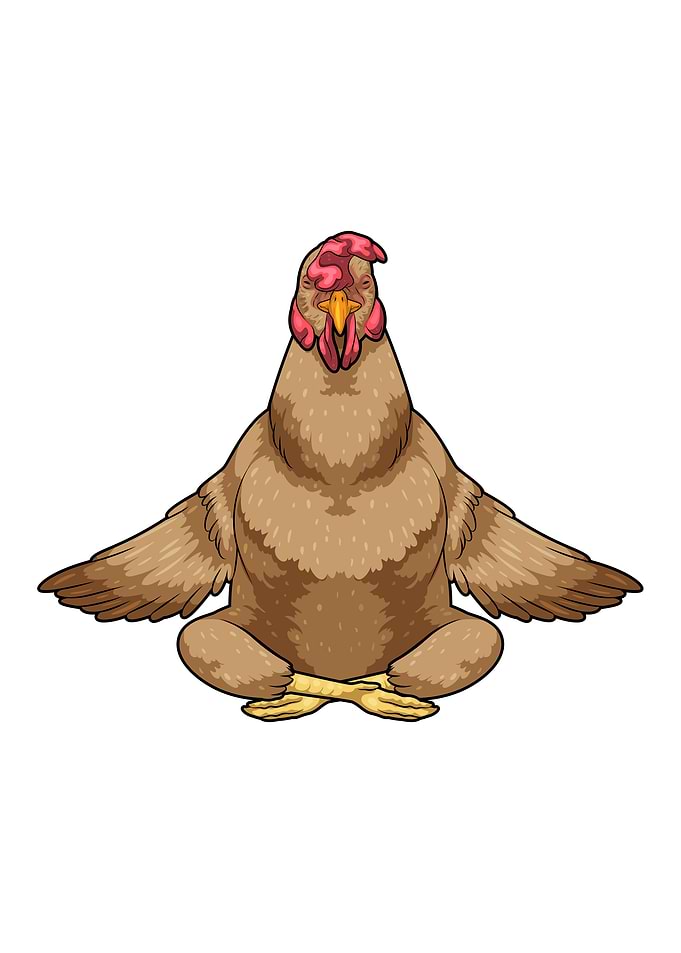 Chicken Yoga Fitness