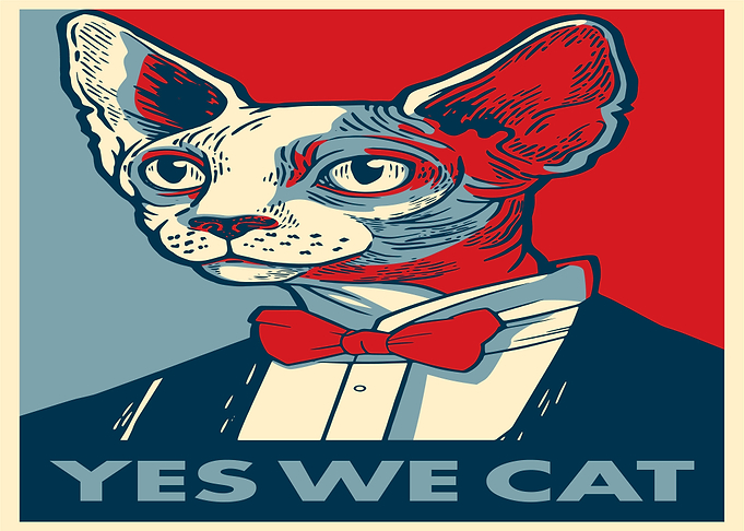 Yes We Cat Poster