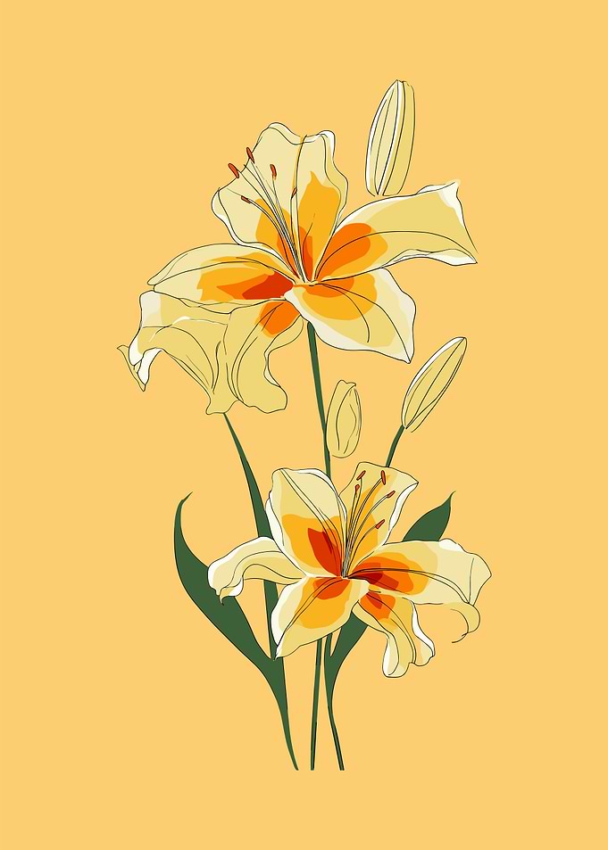 Yellow Lily Flowers with Buds
